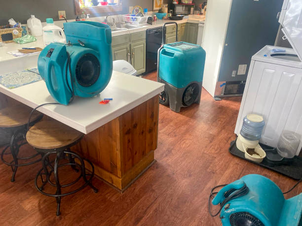Best Local water damage restoration  in Swede Heaven, WA