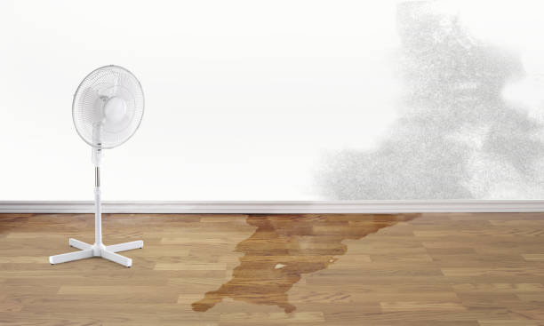  Swede Heaven, WA Water damage restoration Pros
