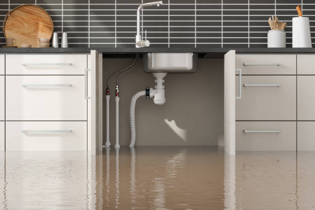 Water damage restoration mold remediation in WA